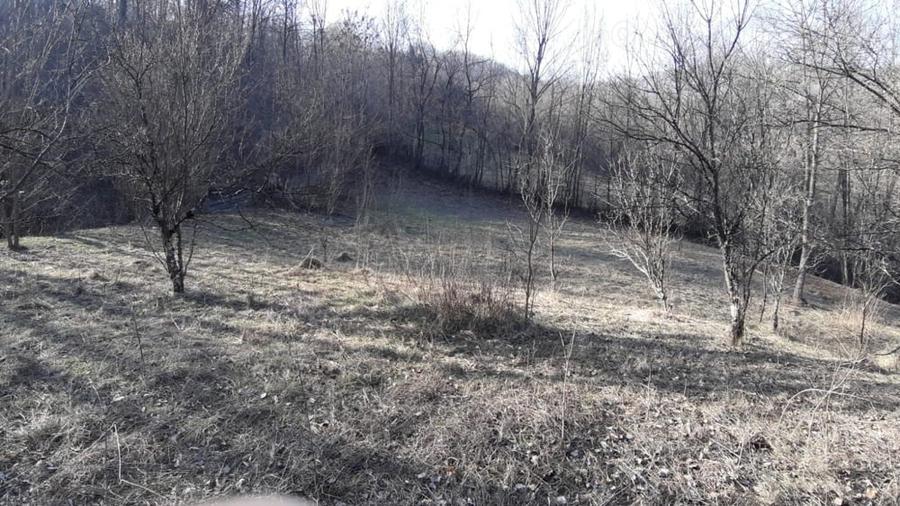 Teren de 4750 mp, în Provița de Sus