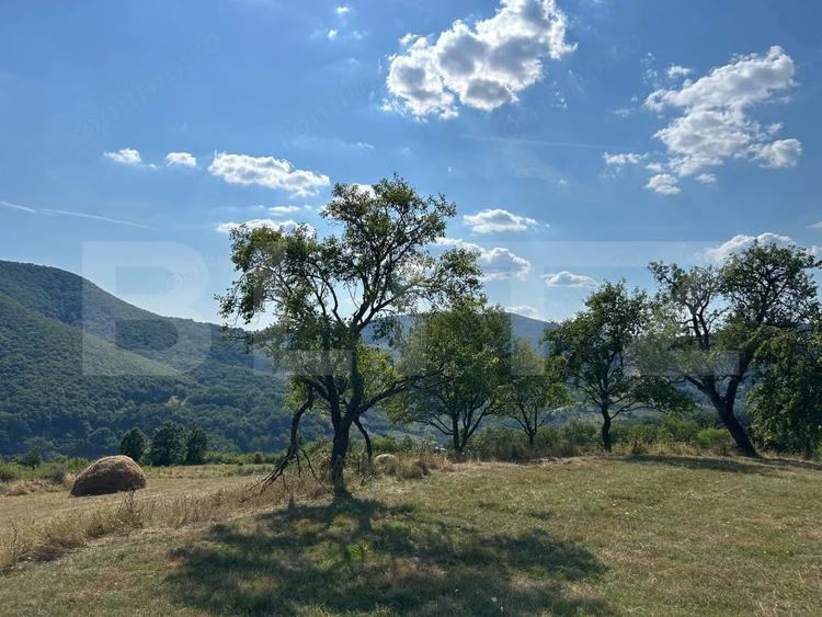 Casă cu 2 camere cu Teren 11000 Mp în Mătăcina