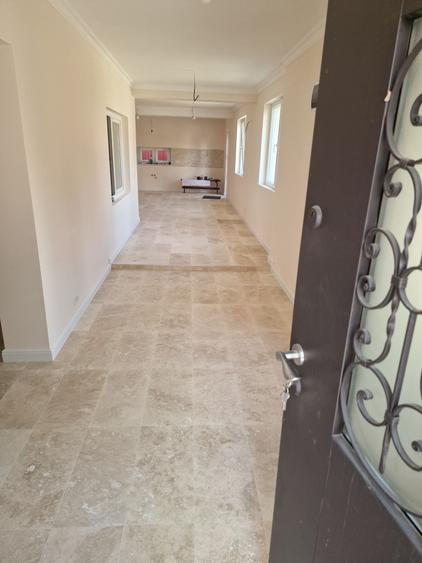 Inchiriere casa ptr birouri sau afaceri - 1