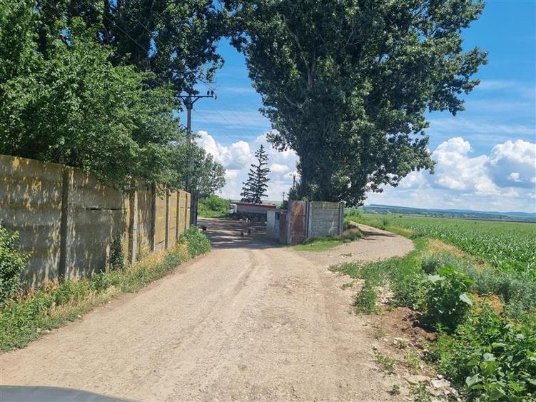 Teren agricol extravilan de 27500 mp, în Șerbești