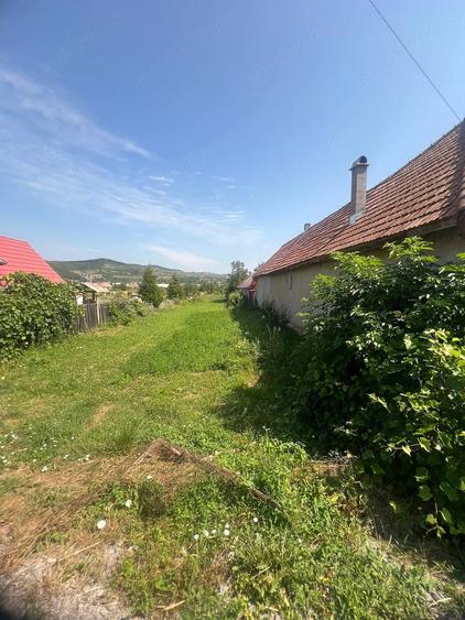 Teren de 147500 mp, în Central