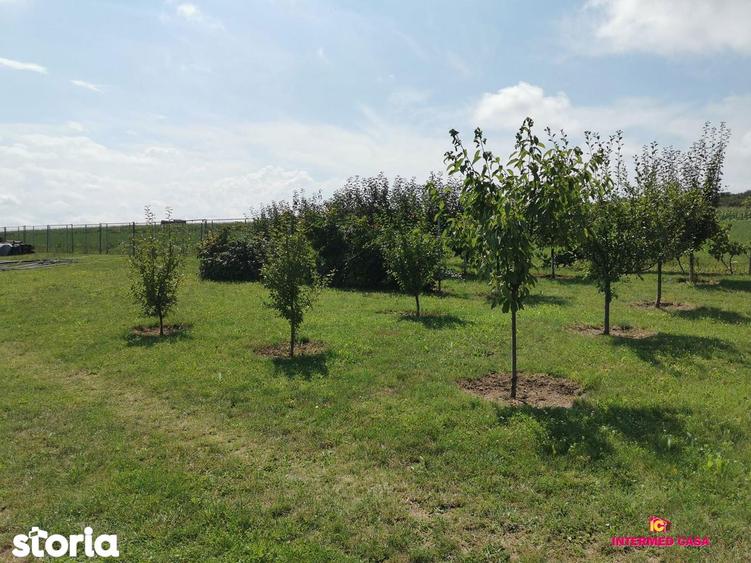 Teren de 665 mp, în Roșia