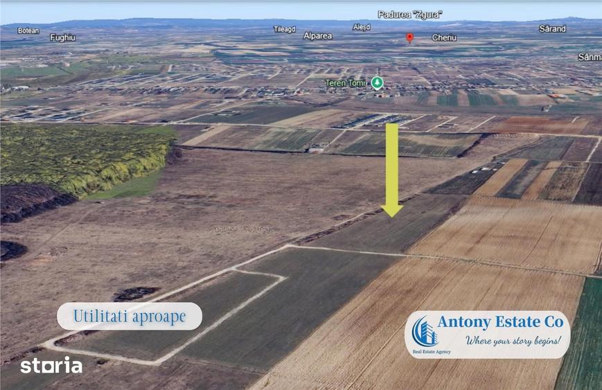 Antony Estate | Oportunitate de investitie - Teren Cihei, langa Padure - 5