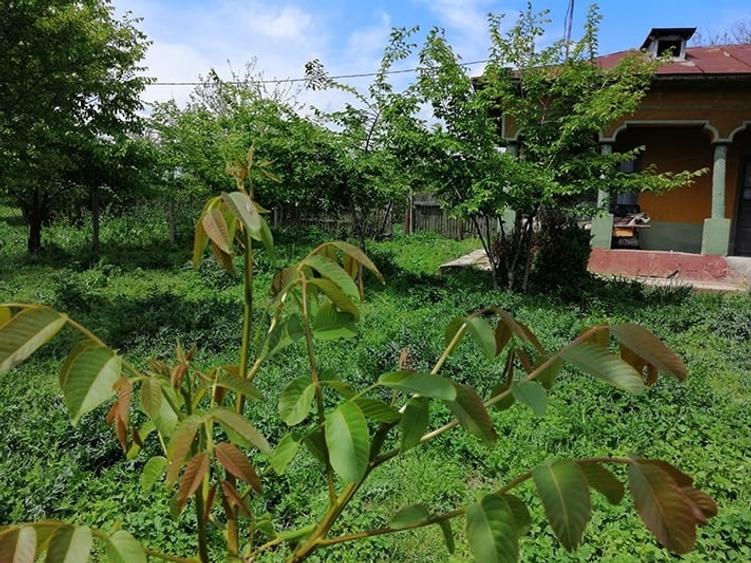 Casă cu 4 camere cu Teren 2300 Mp în Sud