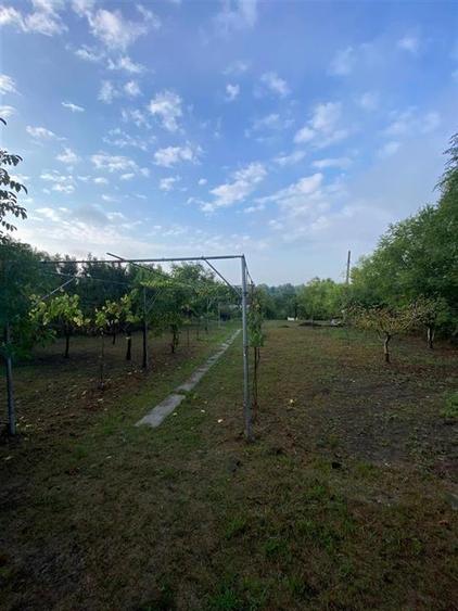 Teren Construcții intravilan de 2282 mp, în Podgoria