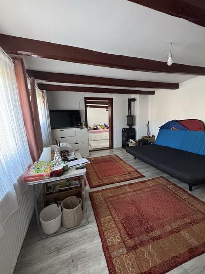 casa de vanzare ocna mures - 5