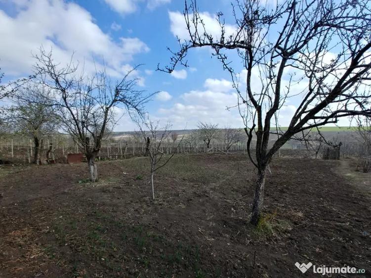 Casă cu 3 camere în Crăiești