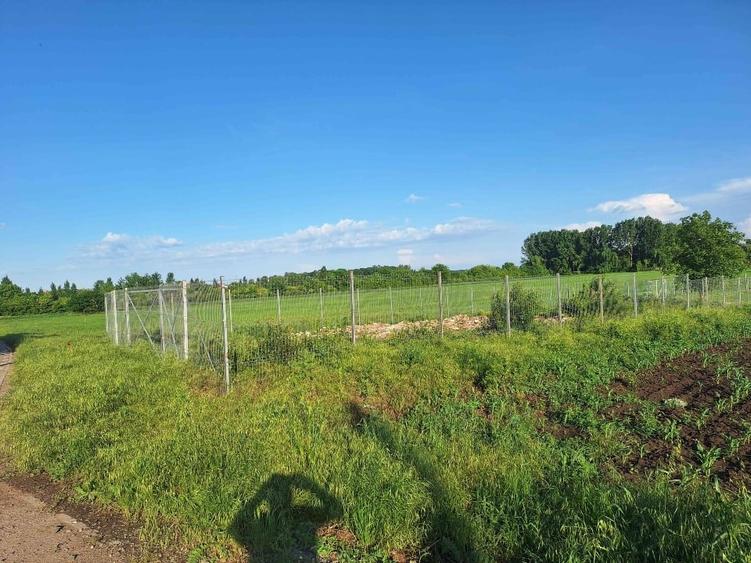 Teren Construcții intravilan de 500 mp, în Bolintin-Deal