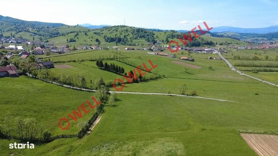 Spațiu comercial, în Barcani