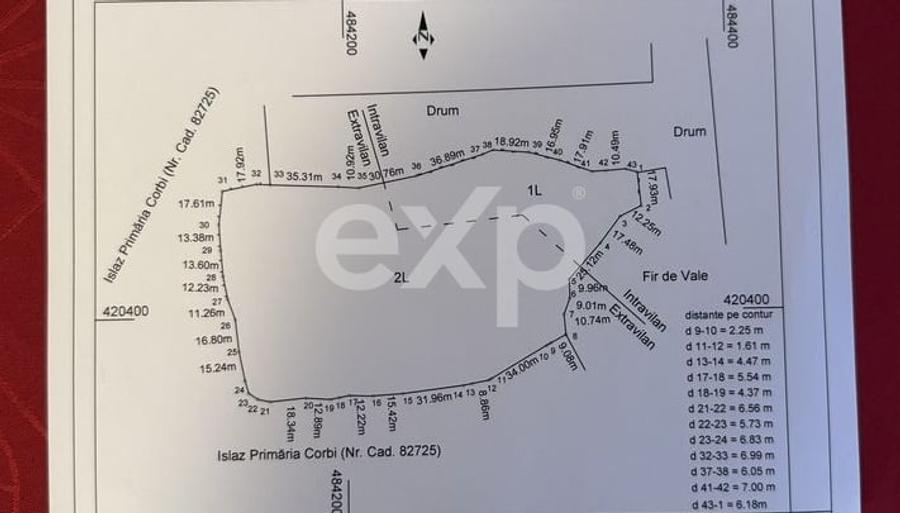 Teren Construcții intravilan de 21000 mp, în Corbi