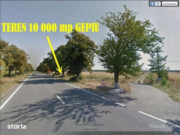 Teren de 10000 mp, în Gepiu