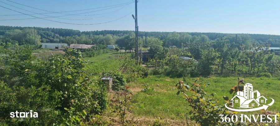Casă cu 3 camere cu Teren 2400 Mp în Mahmudia