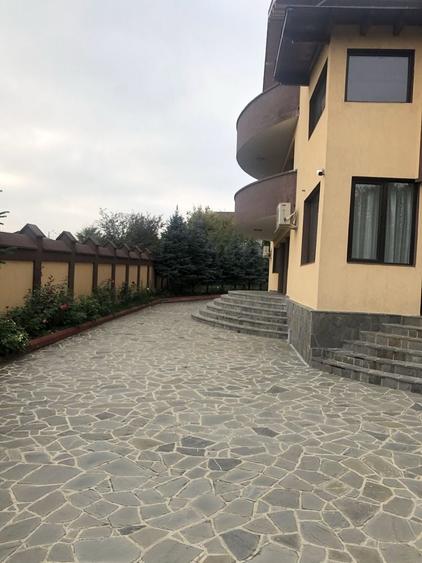 Vand vila P+2+ pod, 11 camere, Pasarea IF - 8