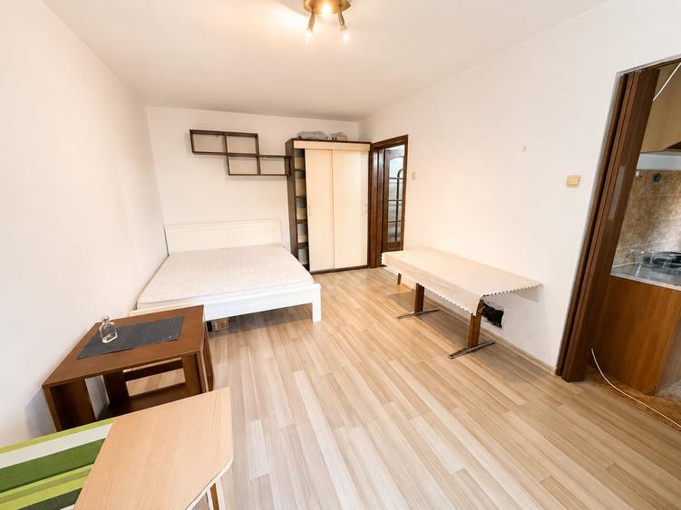 Apartament cu o cameră Bucovina - 1