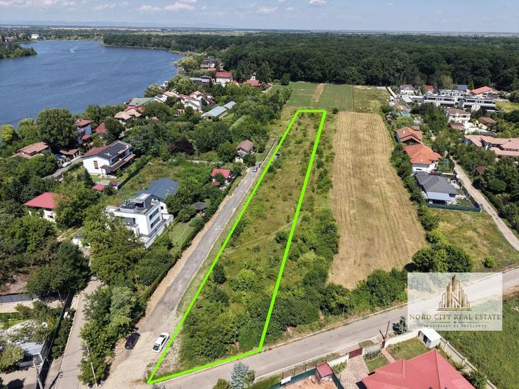 Teren Construcții intravilan de 4417 mp, în Snagov