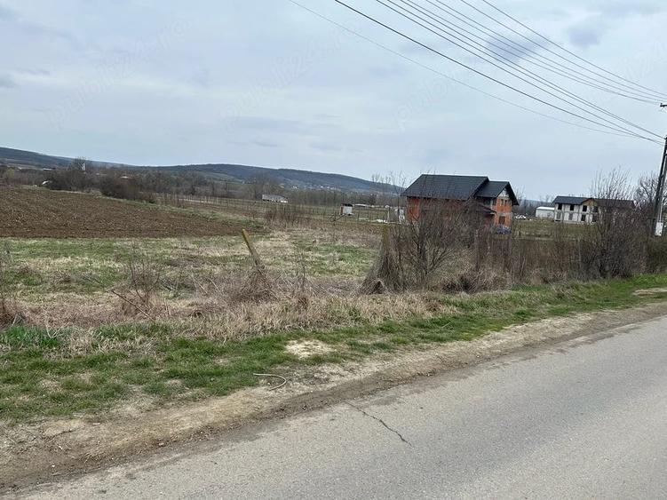 Teren de 660 mp, în Plavia