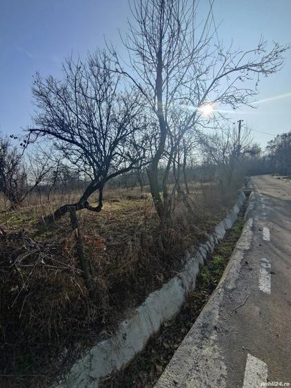 Teren de 2440 mp, în Podenii Vechi