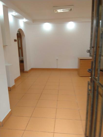 Spațiu comercial, de 42 mp, în Brotăcei