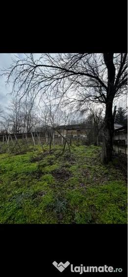 Casă cu 3 camere în Brabova