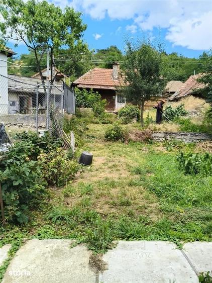 Teren de 5600 mp, în Vest