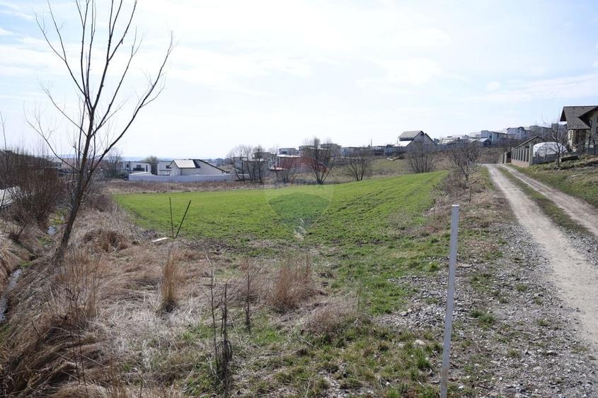 Teren Construcții intravilan de 3500 mp, în Moara