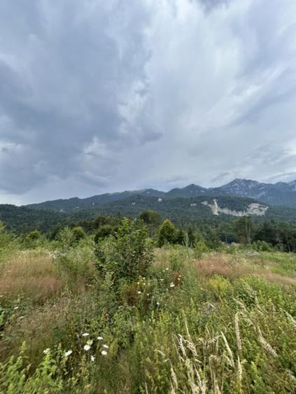 Teren de 1000 mp, în Cumpătu