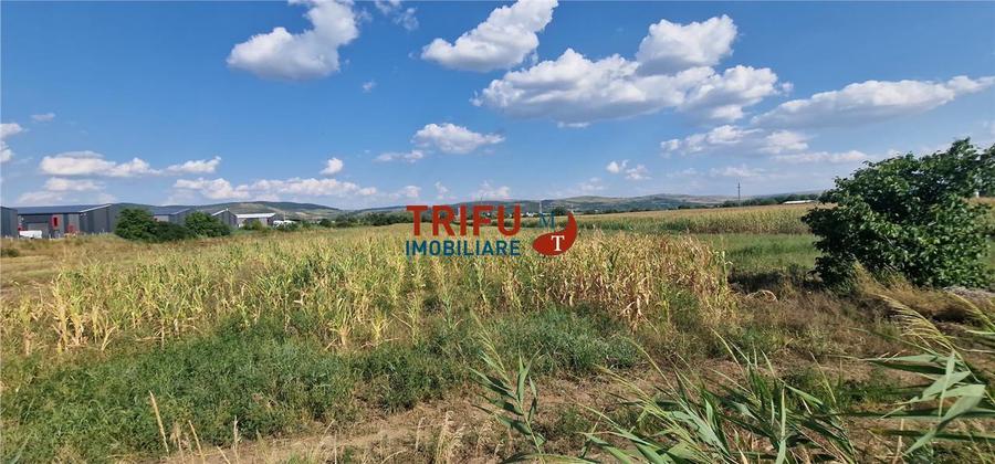 Teren Construcții intravilan de 5756 mp, în Ampoi 1