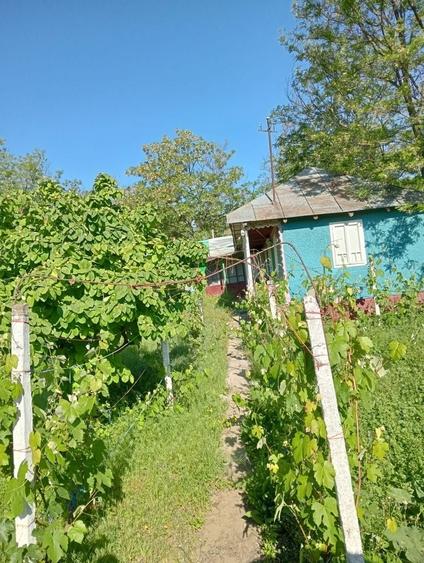 Vind casa la tara - 4