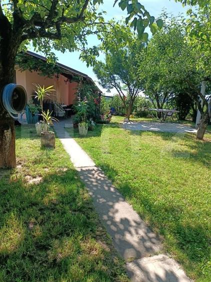Teren agricol extravilan de 1000 mp, în Careiului