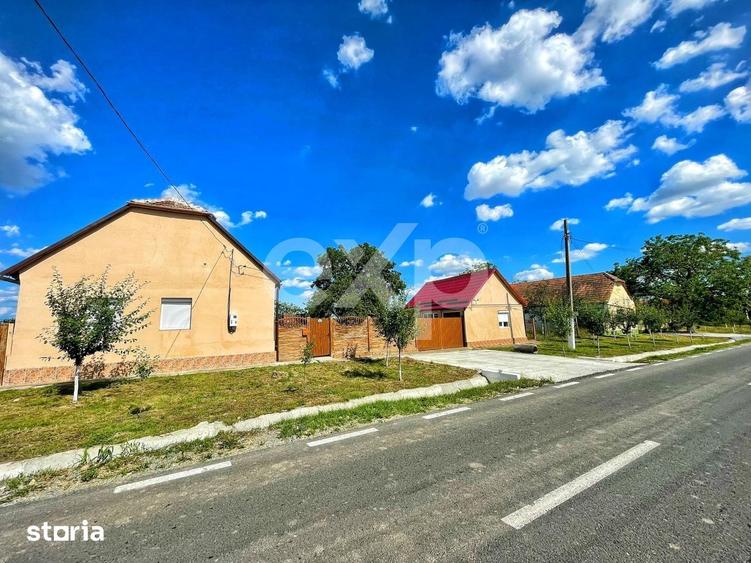 Casă cu 3 camere cu Teren 2993 Mp în Central