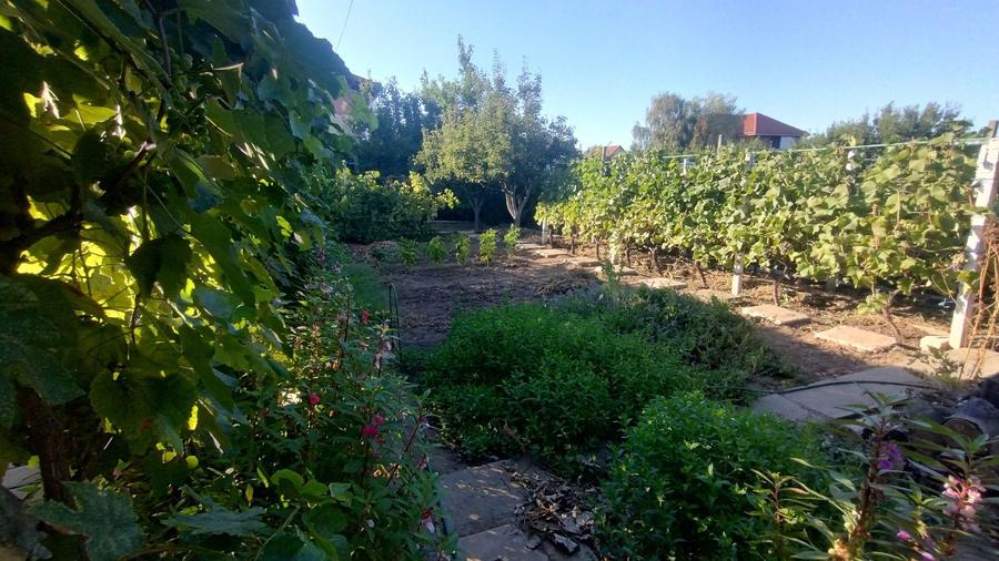 Casă individuală cu 2 camere cu Canalizare în Palazu Mare