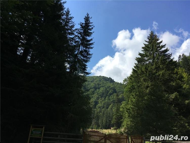 Teren de 3825 mp, în Vama Buzăului