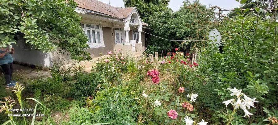 Teren de 8200 mp, în Albești
