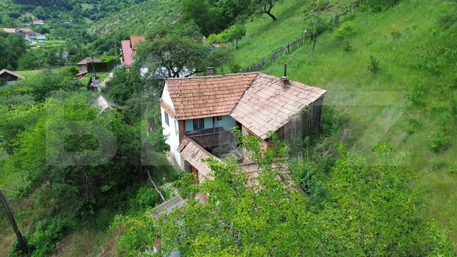 Casă cu Teren 1343 Mp în Căpâlna