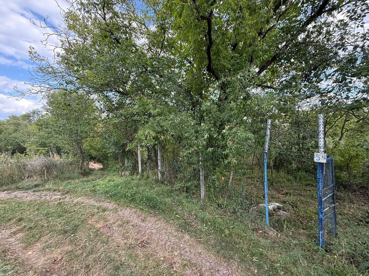 Teren de 400 mp, în Central
