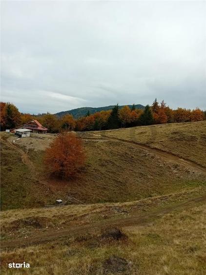 Teren de 2000 mp, în Curățele