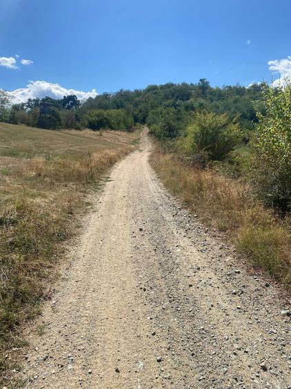 Vand o parcela teren 1600 mp in Cisnadioara ,prelungire la strada Ciresilor - 2