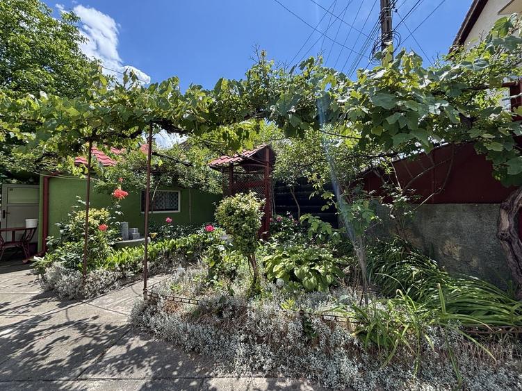 Casă individuală de vânzare în Turnișor | Curte superbă 585 mp - 23
