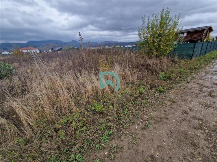 Teren Construcții intravilan de 600 mp, în Cristian