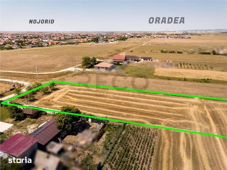 RECO Teren industrial in Nojorid la doar 6km de Oradea - 5