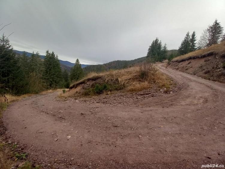 Teren de 3876 mp, în Gârda de Sus