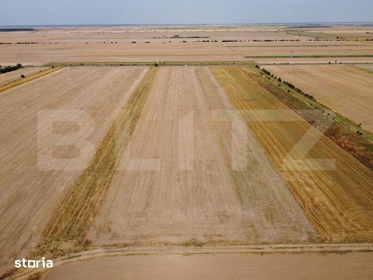 Teren de 7500 mp, în Sălcioara
