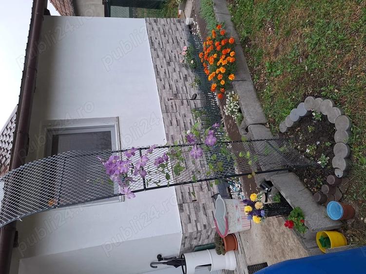 Casă cu 3 camere cu Teren 1500 Mp în Sânmihaiu de Câmpie