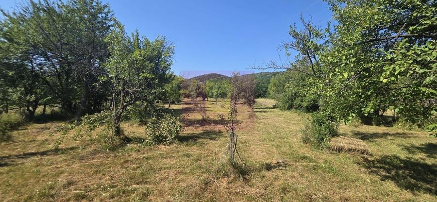 Teren intravilan de vanzare 3375 mp in Brebu - 1