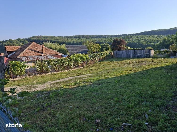 Teren in Goranu 650 mp cu toate utilitatile - 1