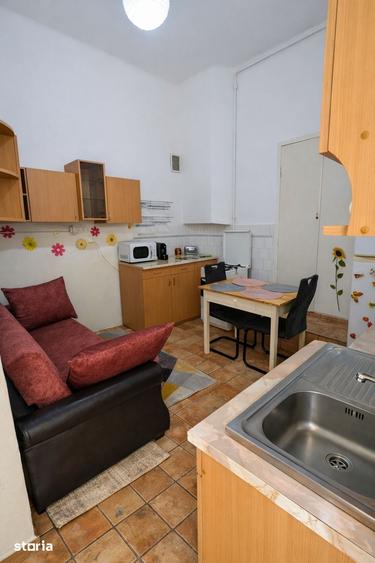Apartament 1 Camera De Inchiriat | Ultracentral | Piata Unirii | UMF - 3
