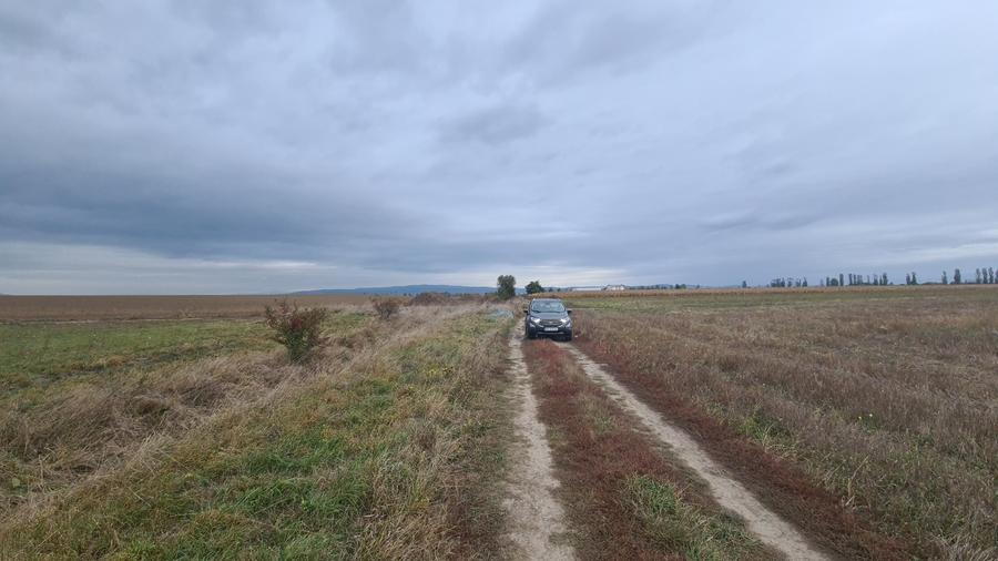 Teren agricol extravilan de 48100 mp, în Hălchiu