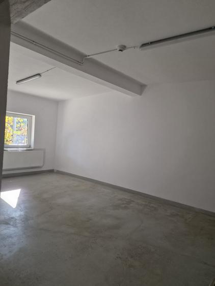 Spațiu industrial, de 800 mp, în Exterior Est