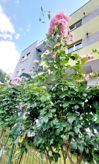 Apartament cu 3 camere decomandat în George Enescu