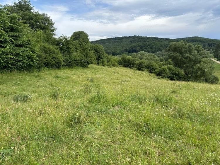 Teren de 4500 mp, în Deleni
